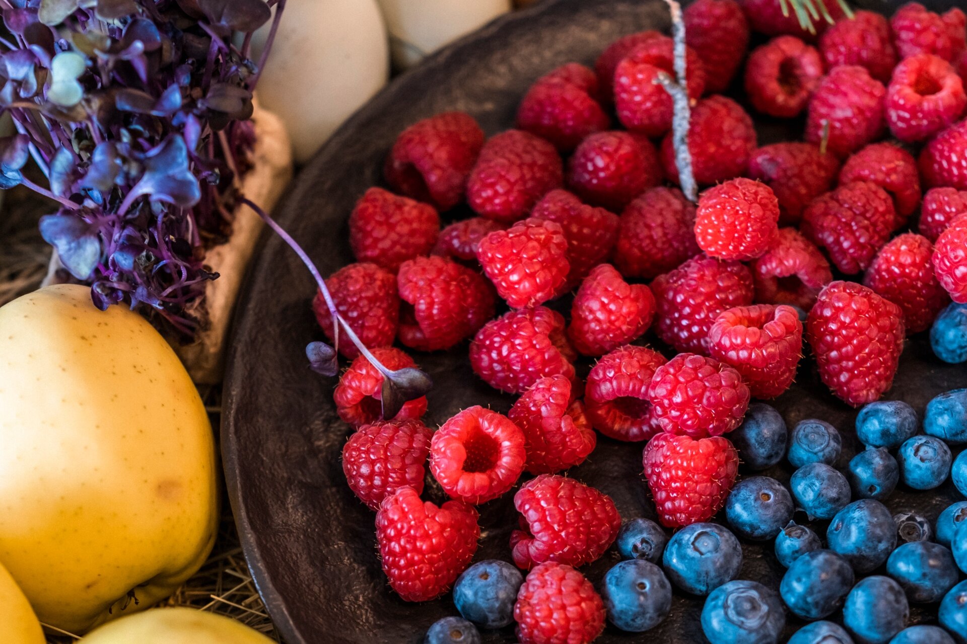 Azienda Agricola Il Ritorno Primavera Dp 2023 Ph Frame Work 9 1