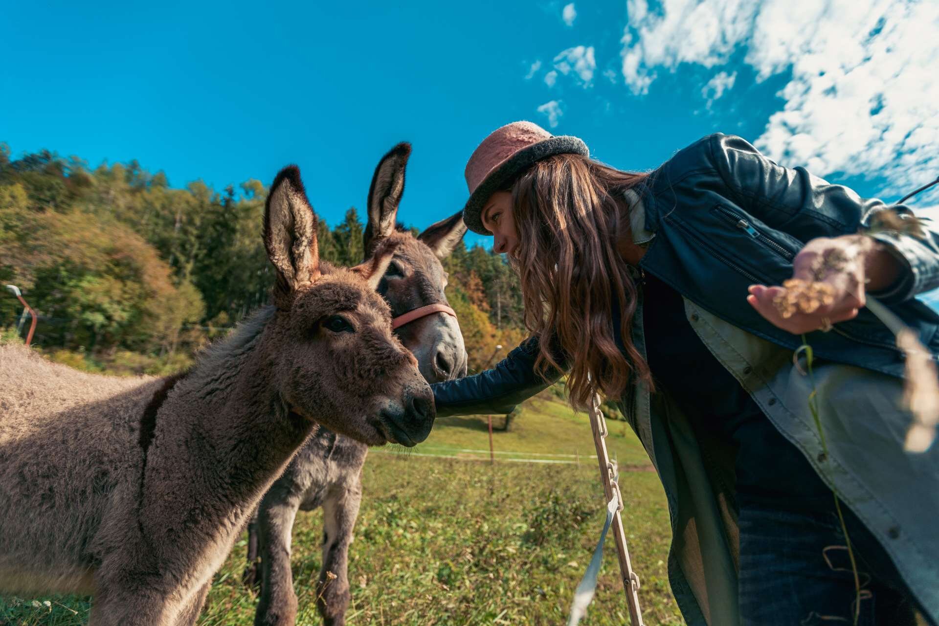 San Lorenzo Ph Joe Barba Arch Tn Marketing 59