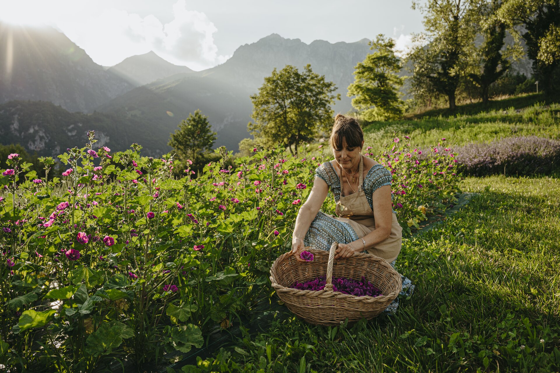 Azienda Agricola Il Ritorno Primavera San Lorenzo Dorsino 1